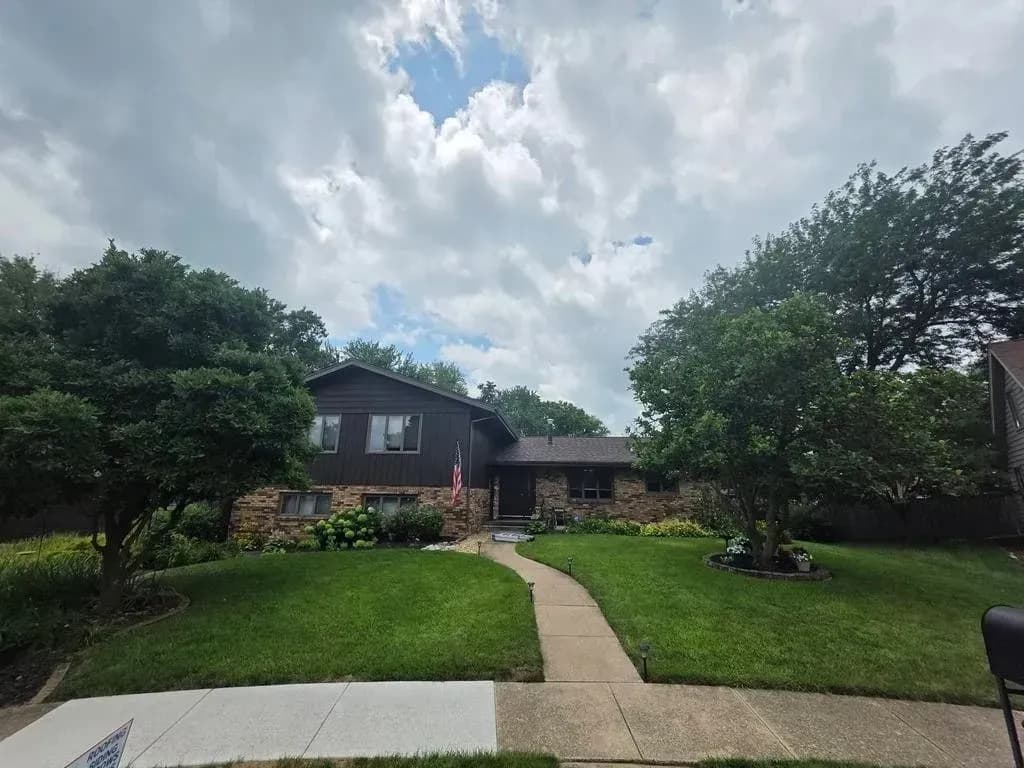 fisheye lens lawn